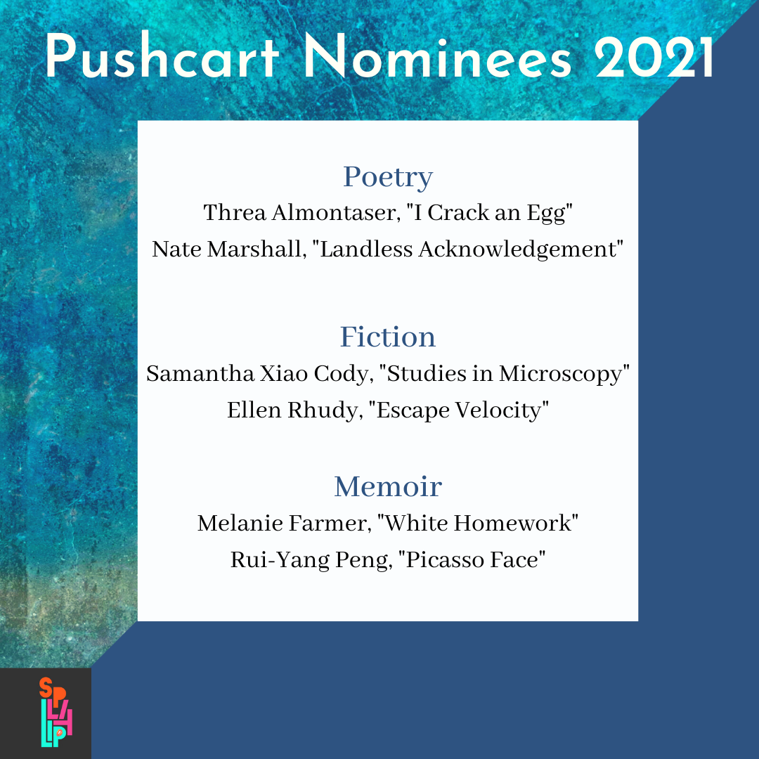 Announcing our 2021 Pushcart Prize nominees!