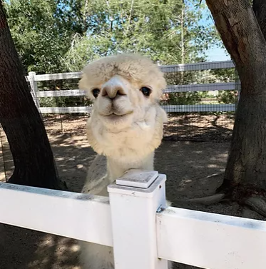  Just One Thing with Ashley Burnett