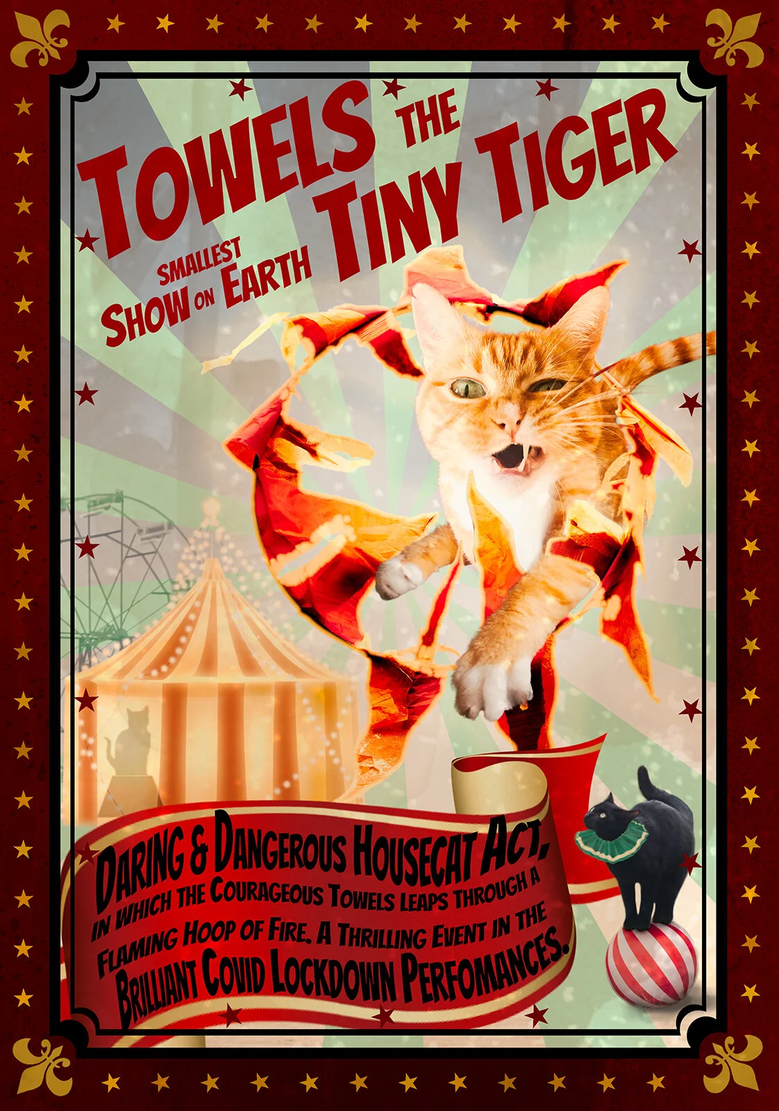 Just One Thing with Teresa Meier