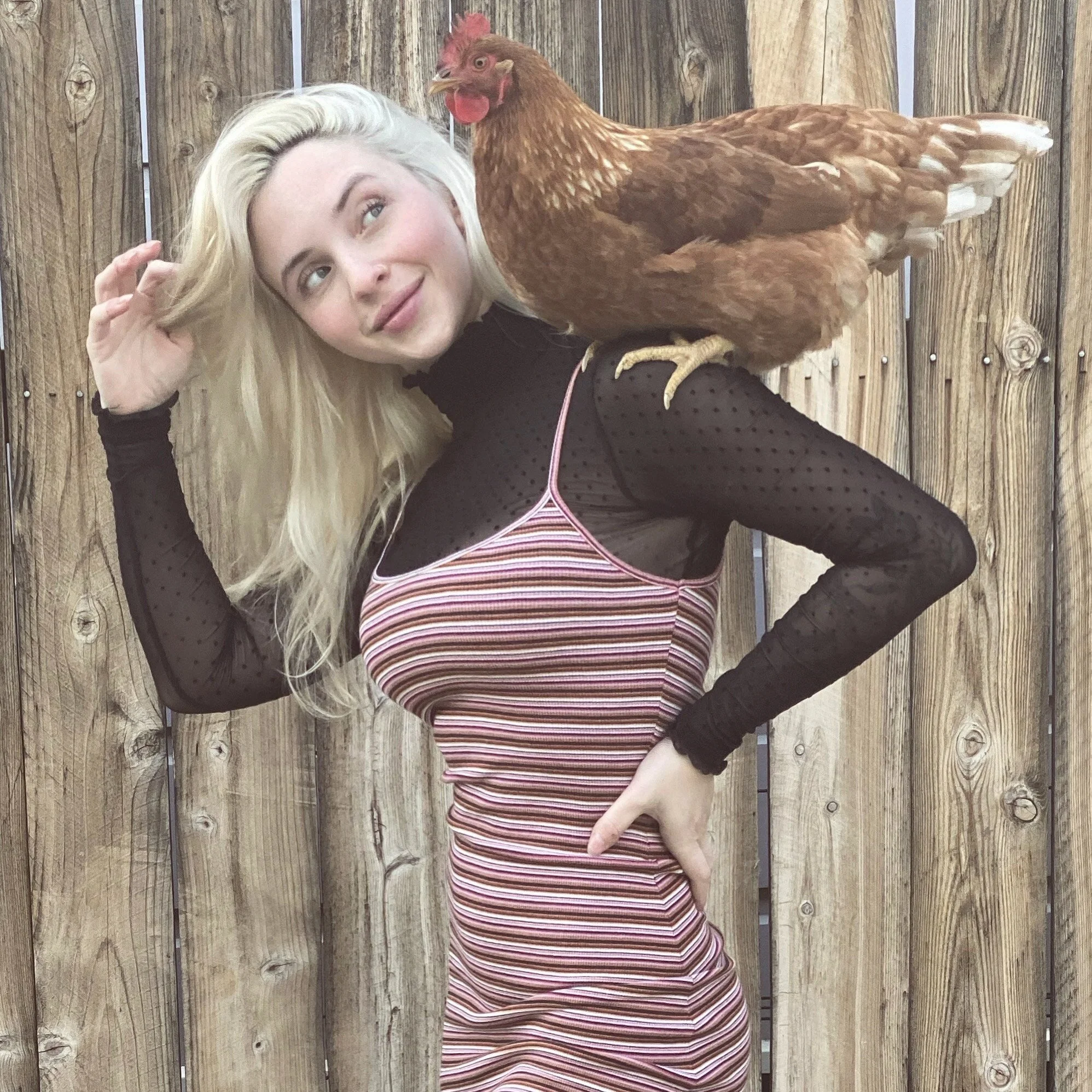 Just One Thing with Danielle Shorr