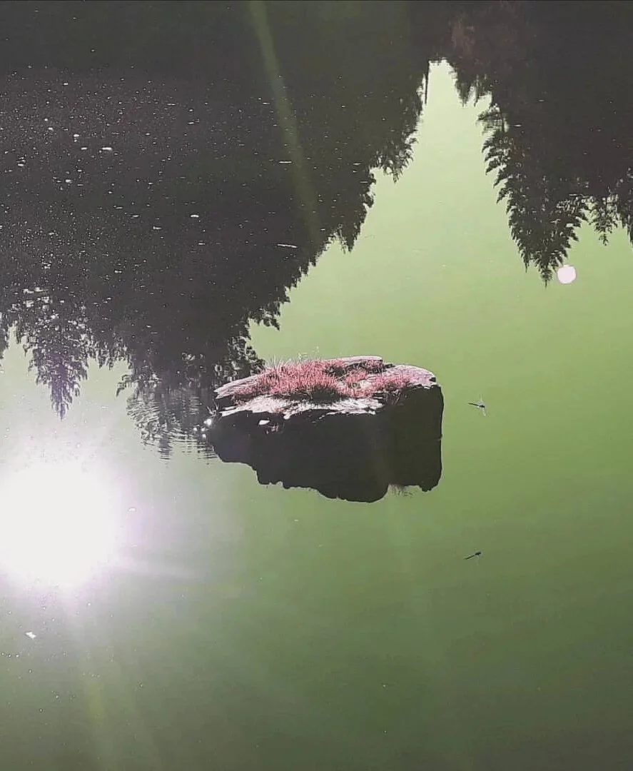 "...All that travel time into a single moment": An Interview with Amber Morrison