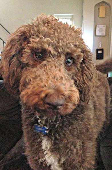 Fightin' Words with Hannah Craig