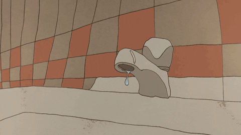 Our Tap Water Usually Tastes like Hedgehog