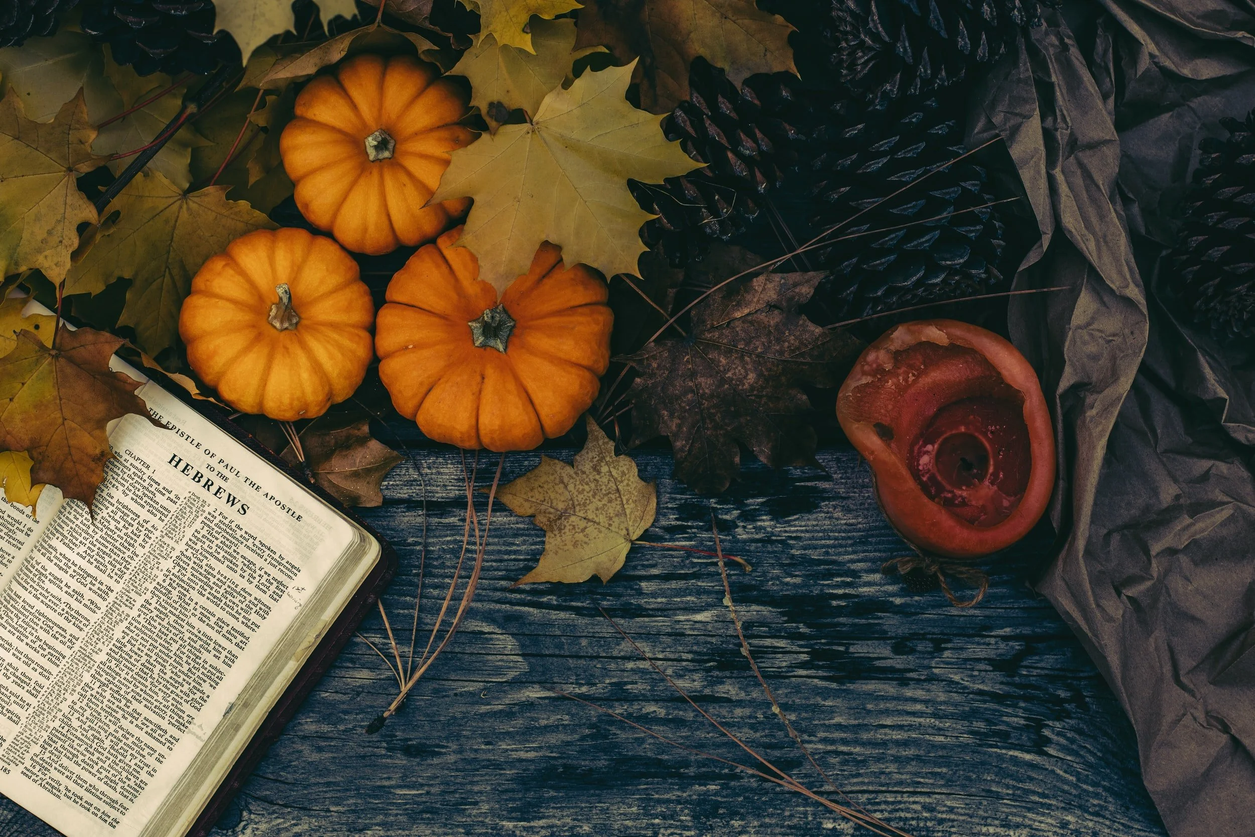 The Fam Roundup: October 2021