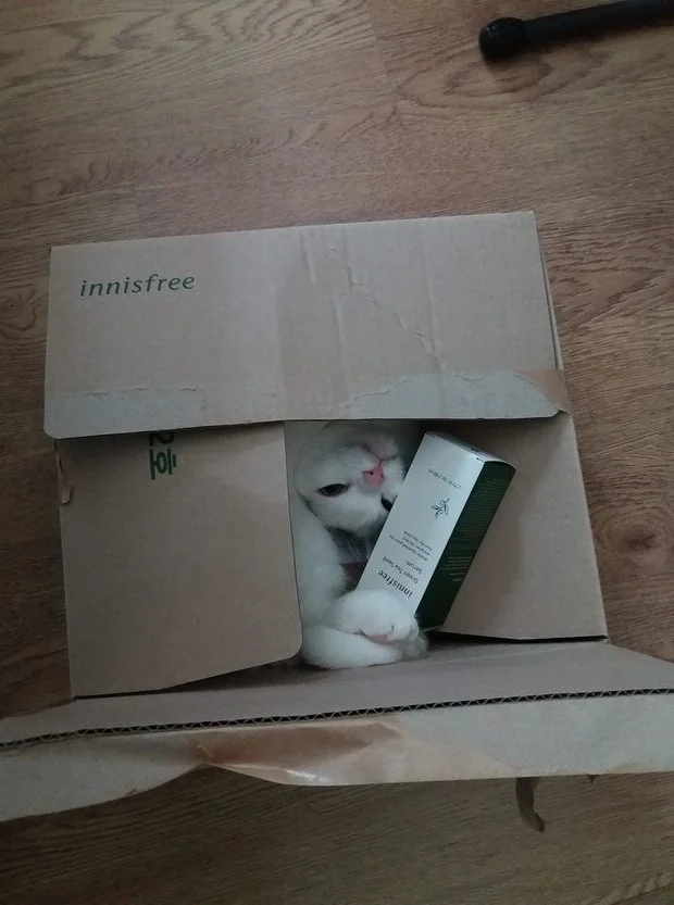 Just One Thing with Tim Raymond