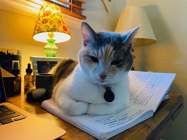 Just One Thing with Elizabeth Erbeznik