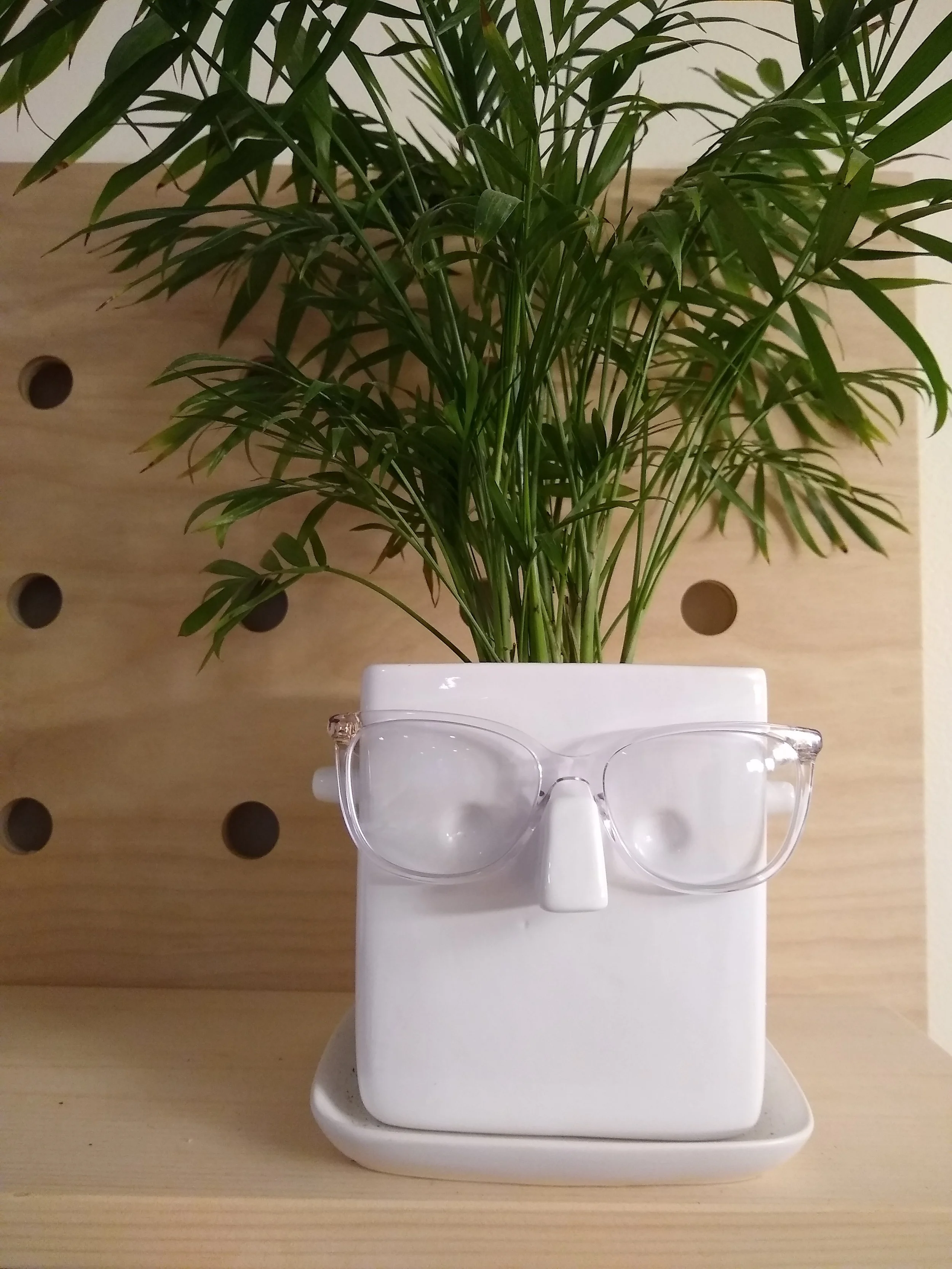 Just One Thing with Abbie Kiefer