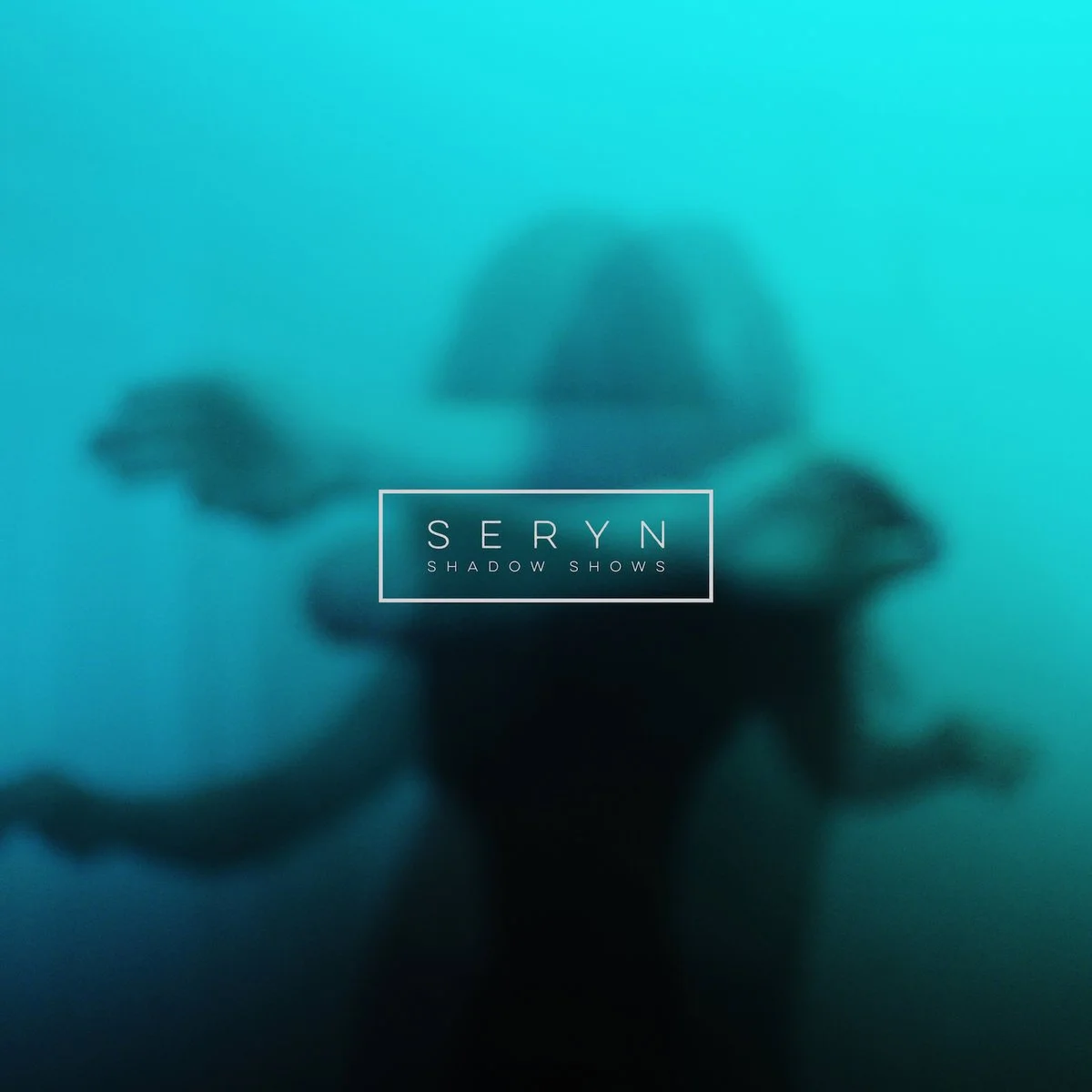 Stellar Music: An Interview with Seryn