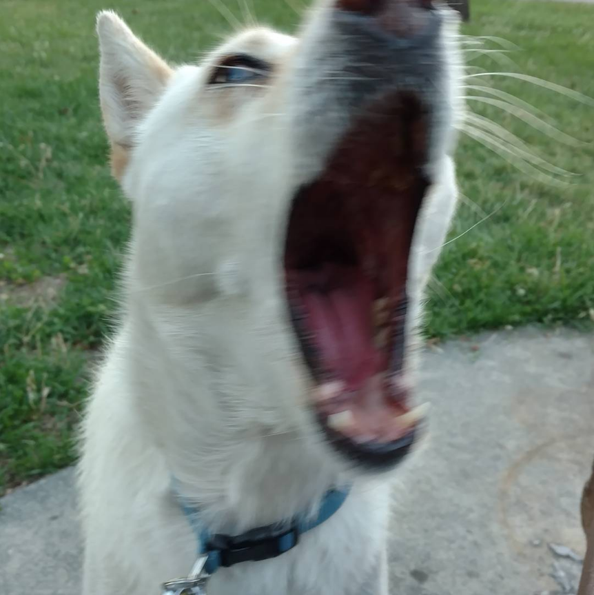 Just One Thing with Jihoon Park