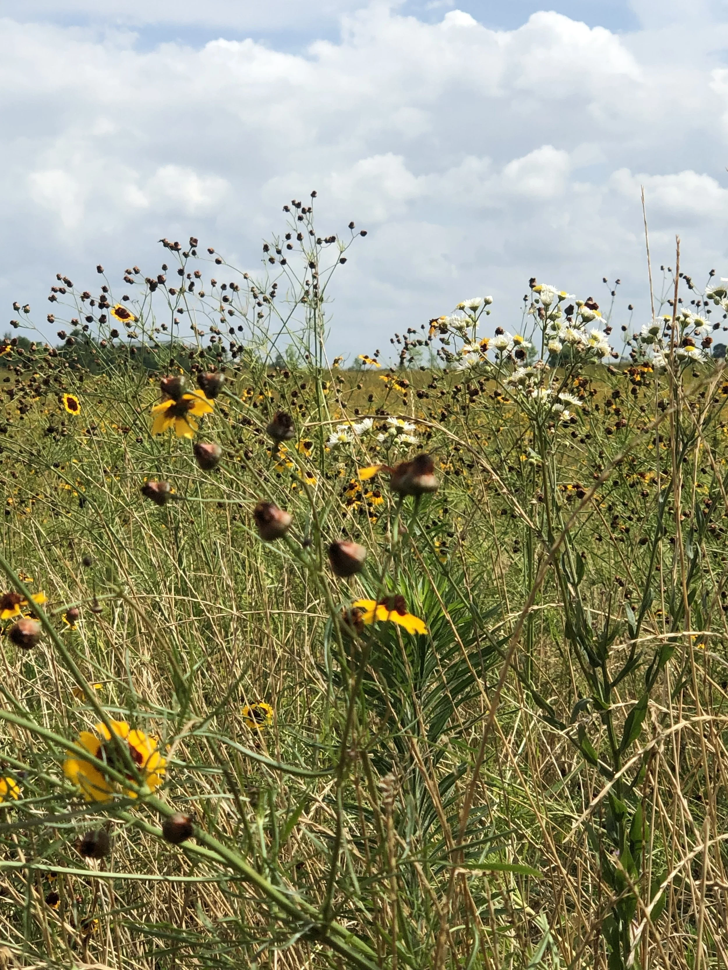 “We Hold Our Brilliance in Dim Hours”: An Interview with CD Eskilson