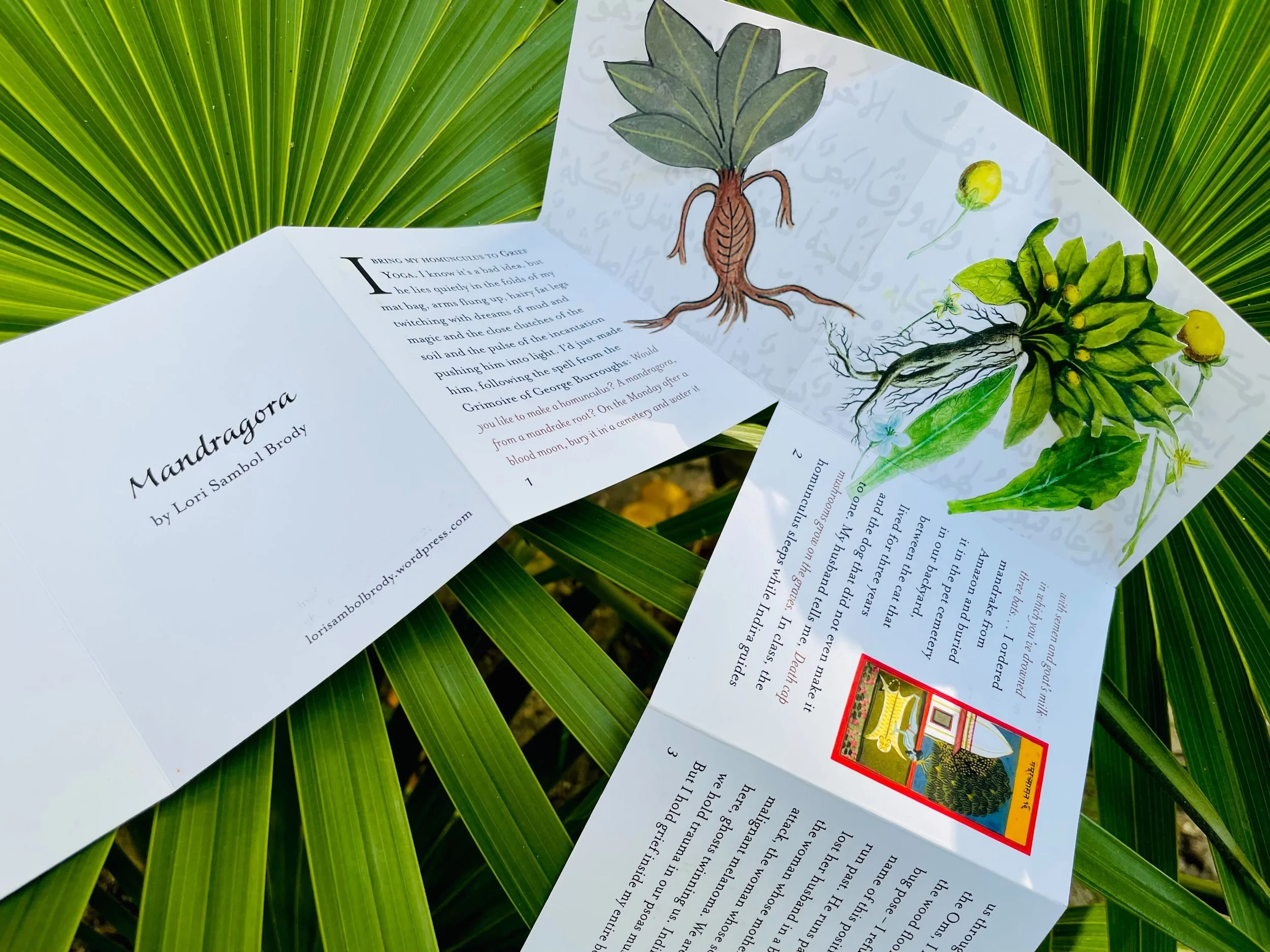 From Point A to Point B: An Interview with Lori Sambol Brody