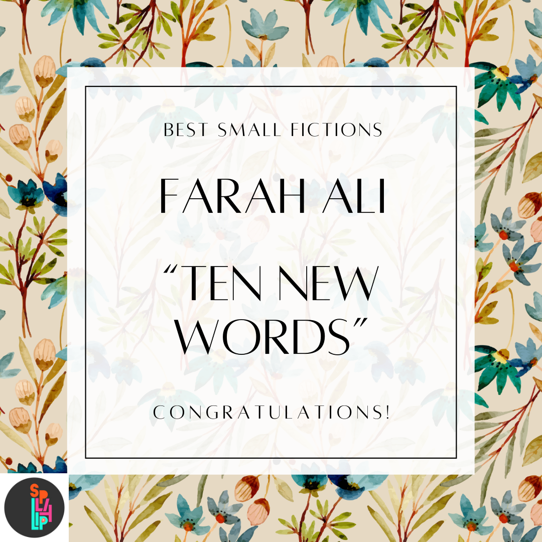 2022 Best Small Fictions Winners!