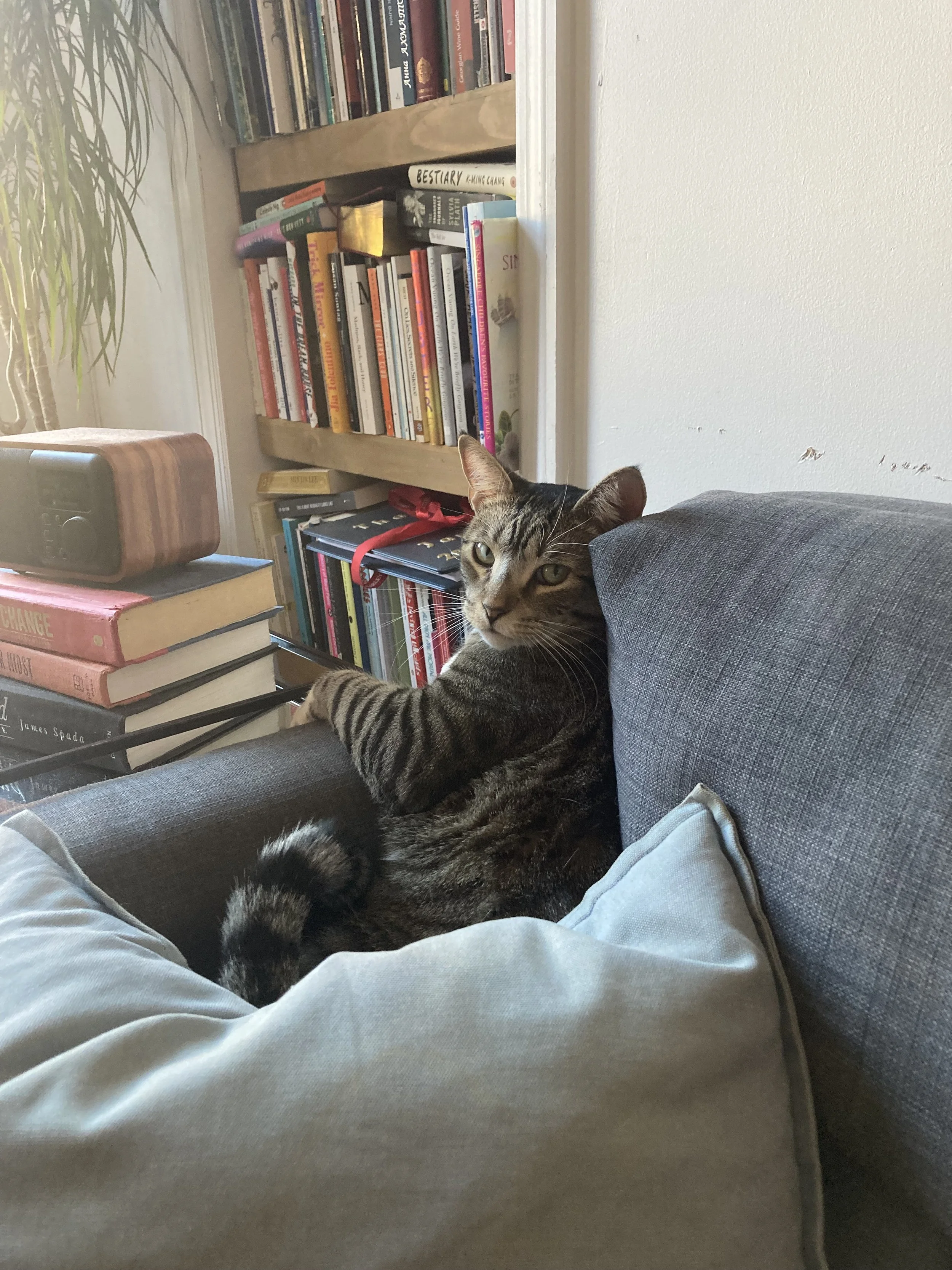 Just One Thing with Janelle Tan