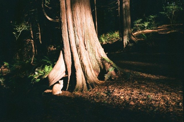 Just One Thing with Miles Coleman