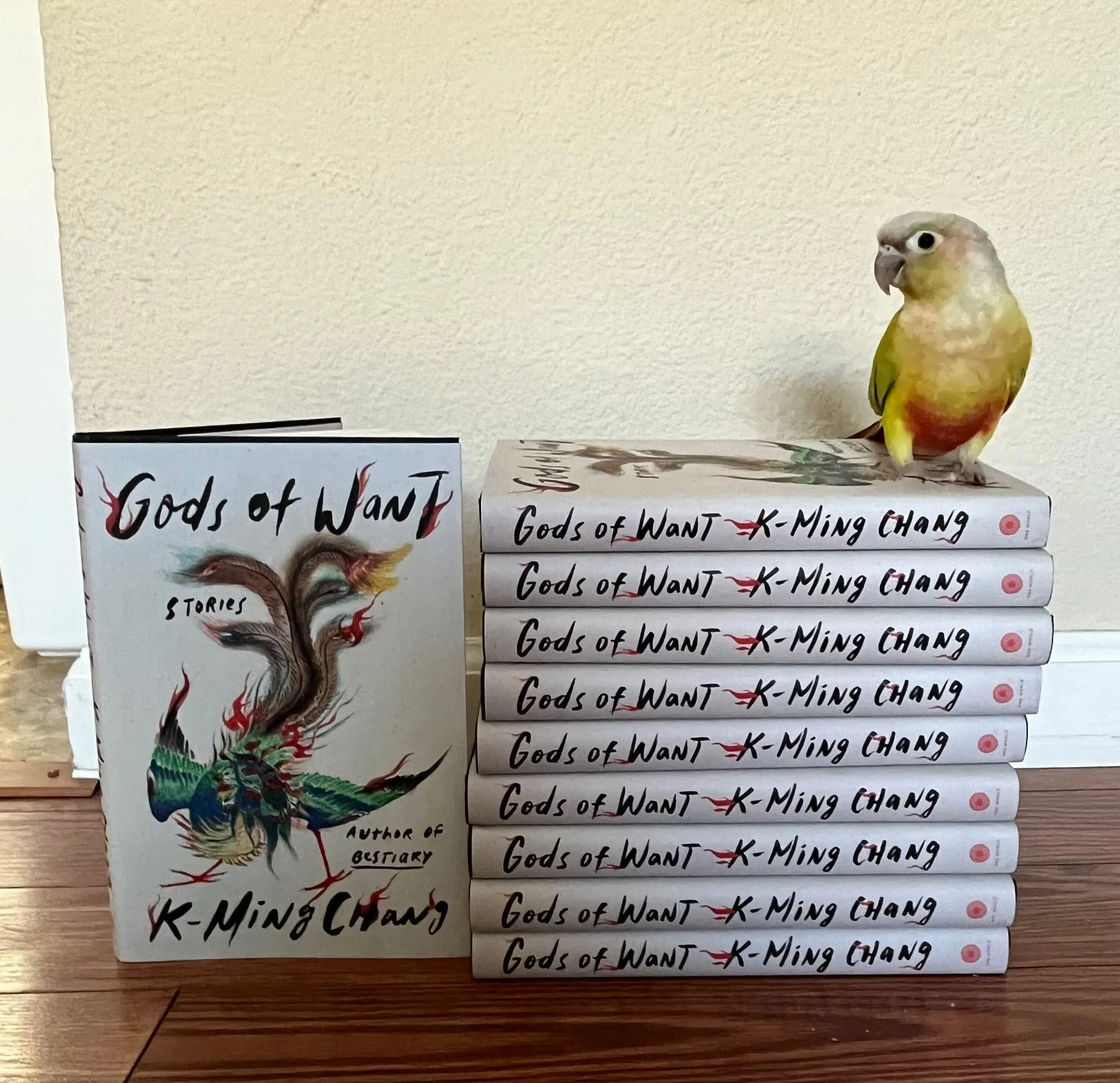 So Deeply Late-2000s in Every Way Possible: An Interview with K-Ming Chang by Paula Mirando