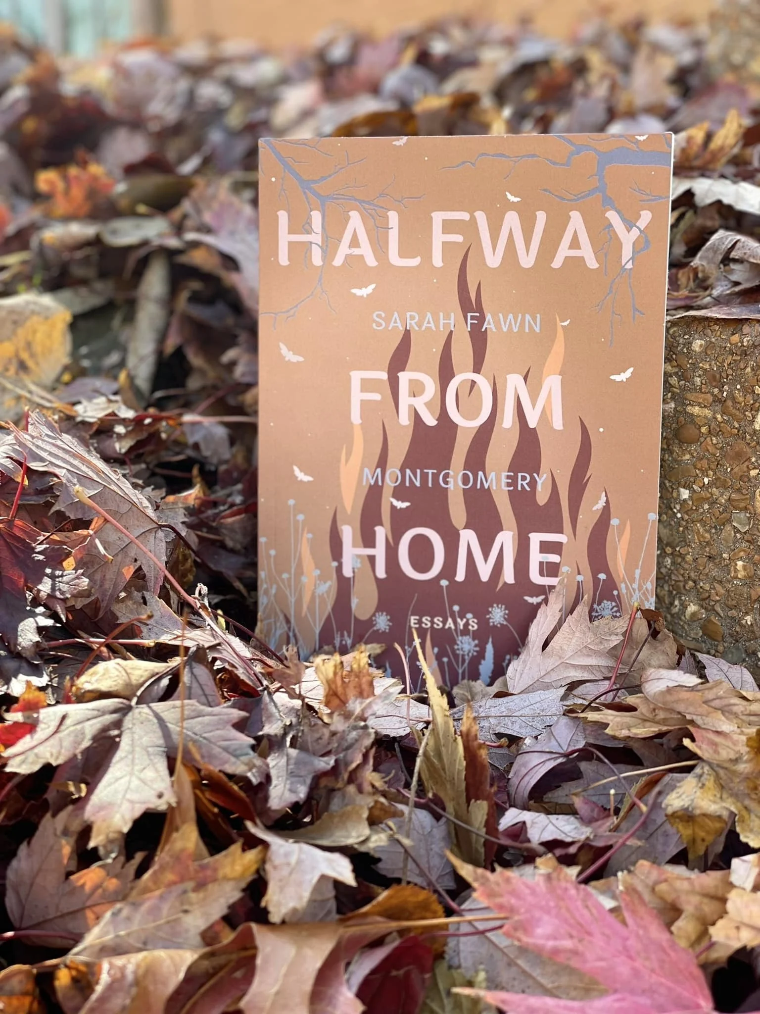 Familiarity and Otherworldliness: An Interview with Sarah Fawn Montgomery by Wendy Oleson