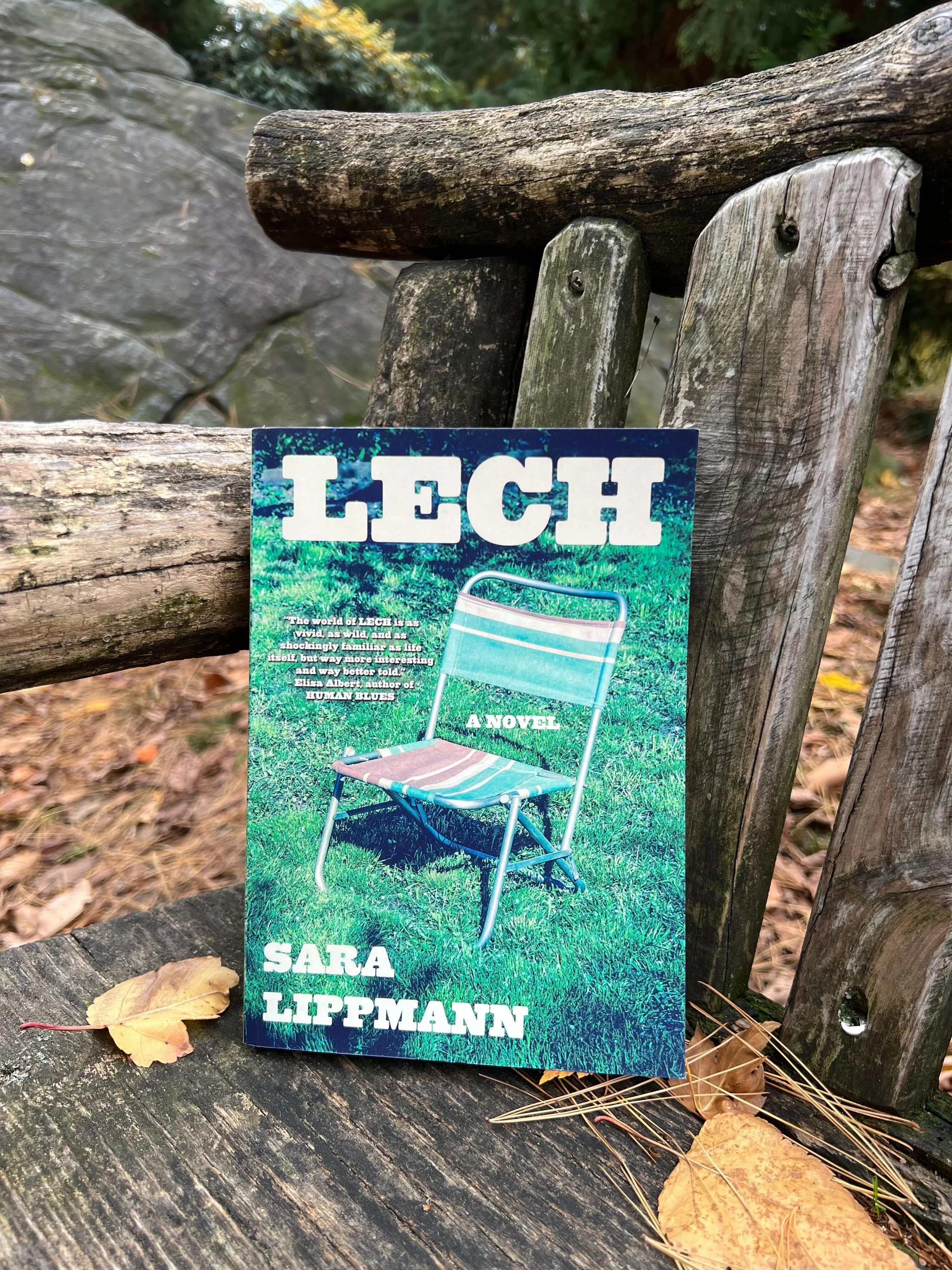 MY TEN FAVORITE THINGS ABOUT SARA LIPPMANN'S LECH BY MAUREEN LANGLOSS