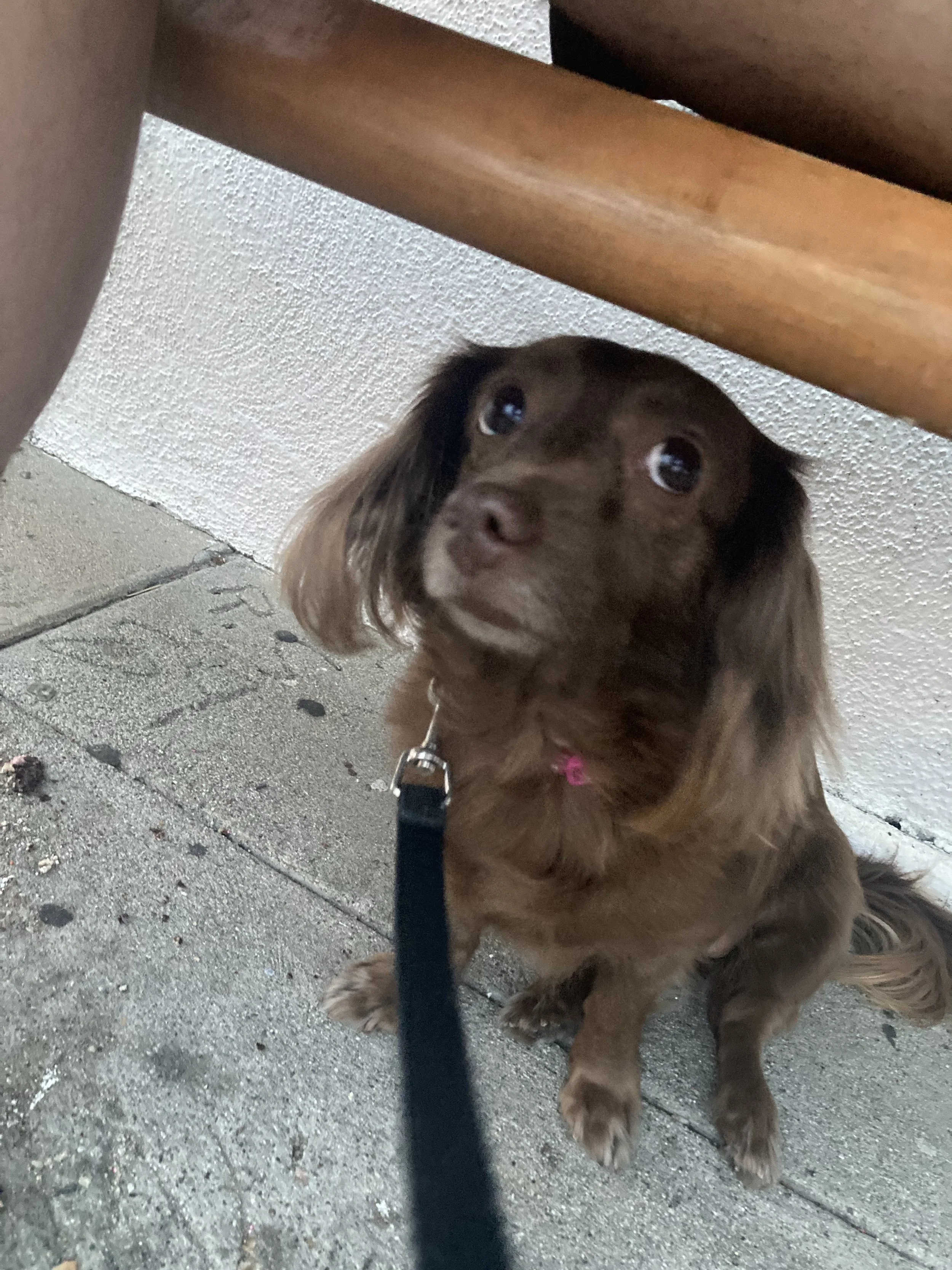 Just One Thing with Nick Mandernach