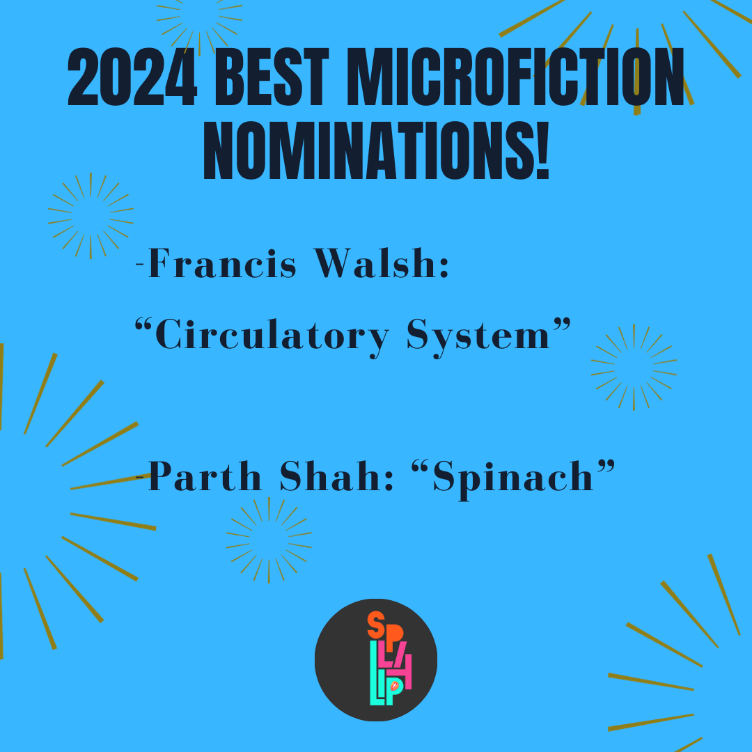 2024 Best Microfiction Nominations! 
