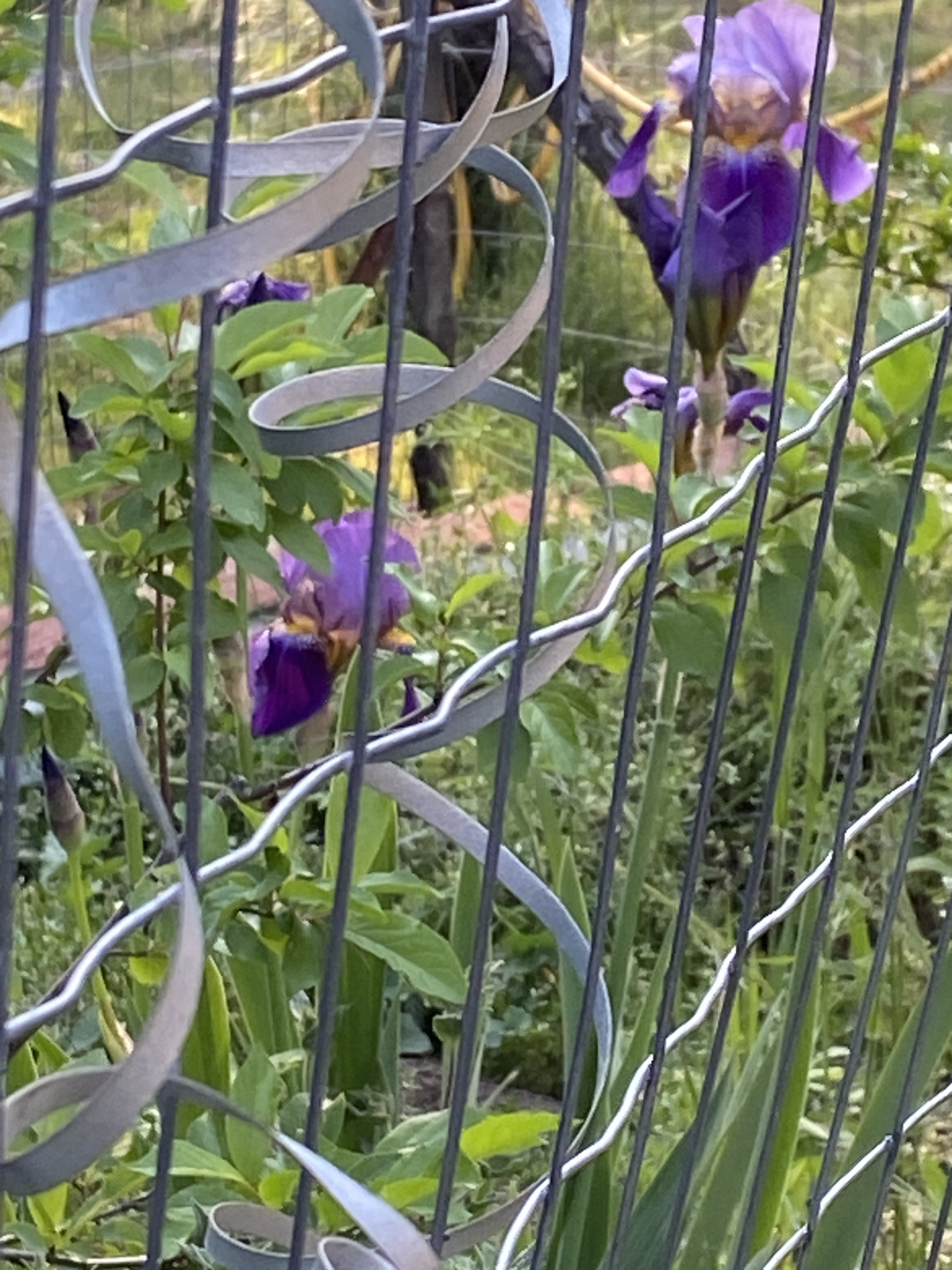 Just One Thing with Claudia Monpere