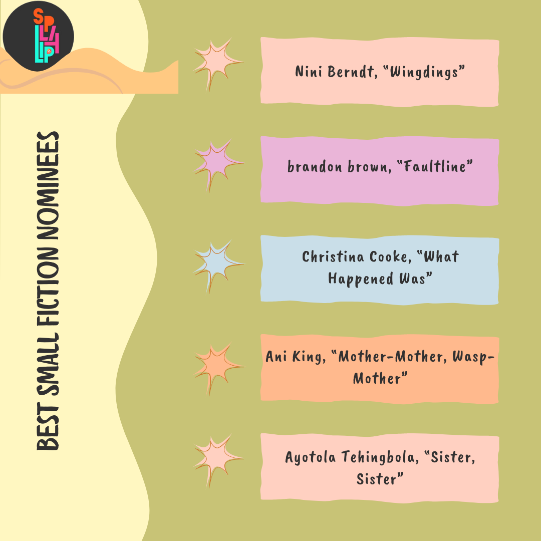 2025 Best Small Fictions Nominations!