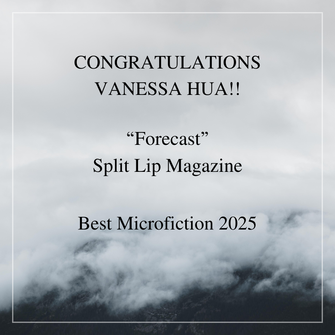 Announcing Best Microfiction 2025 Winner!