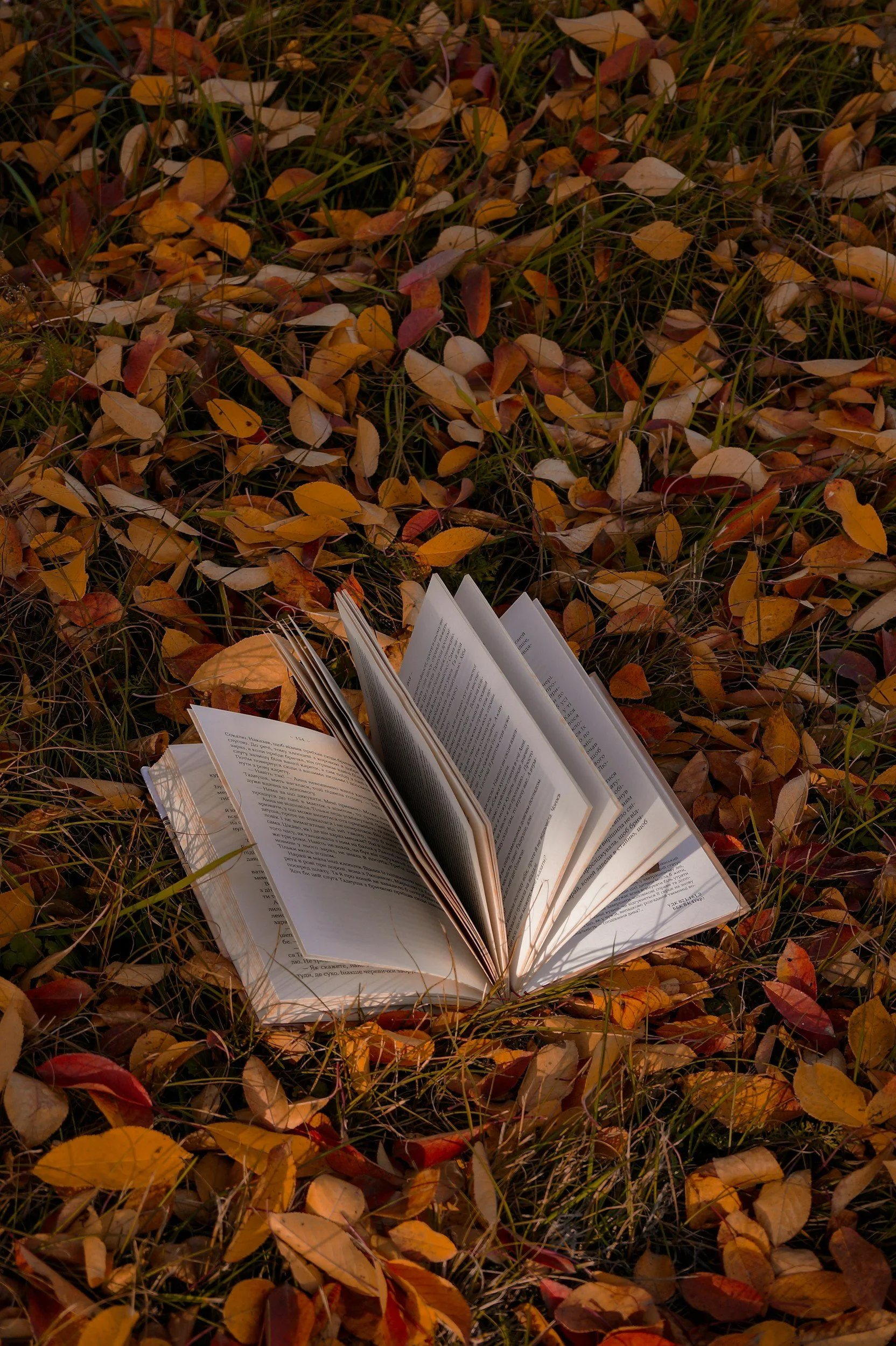 THE FAM ROUNDUP: OCTOBER AND NOVEMBER 2025 EDITION