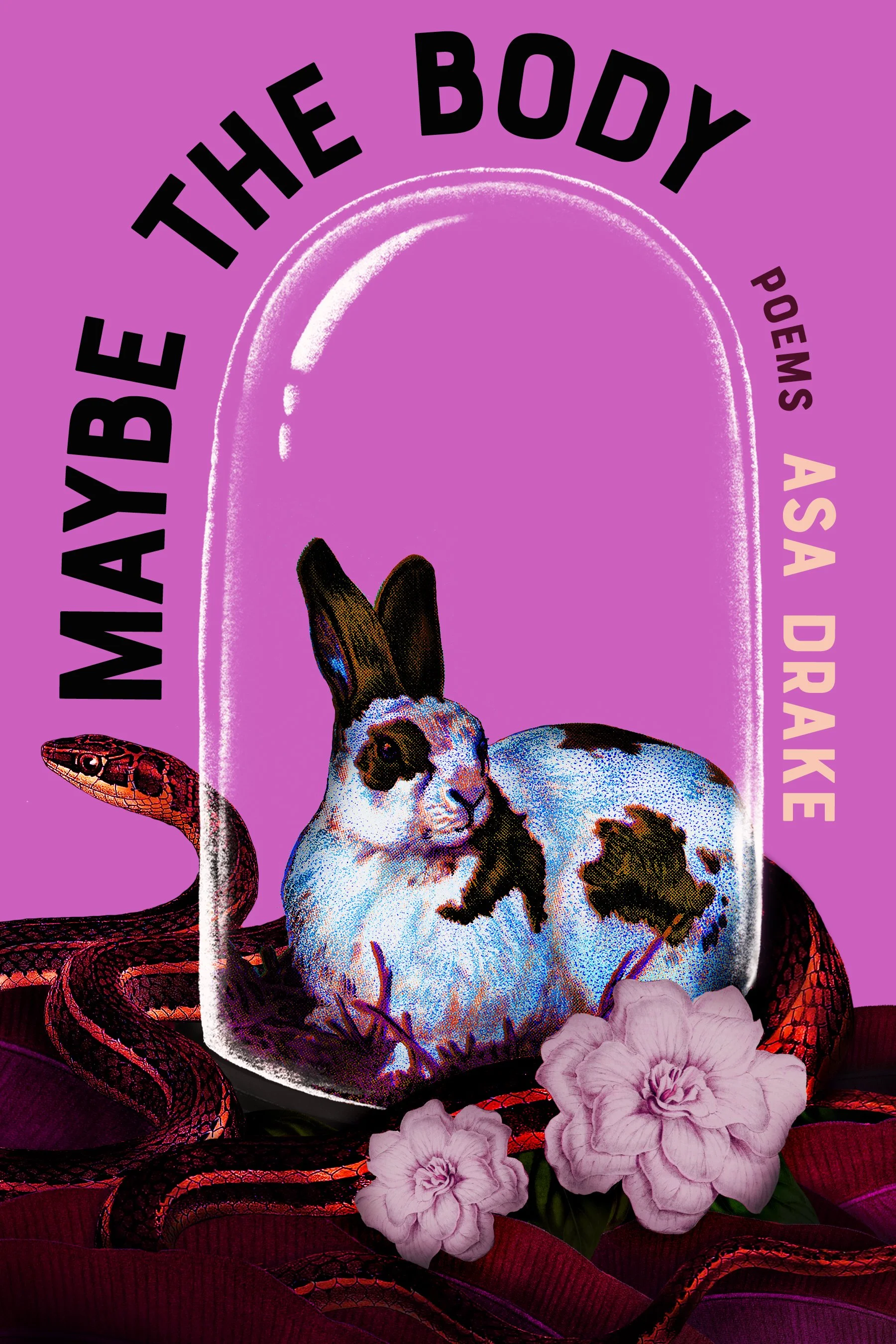 After Belonging, or A Few False Starts: On Asa Drake’s Maybe the Body