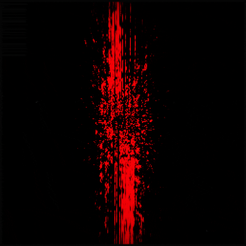 Ten Years After Being Buried Alive, I Address My Sister-Wife through Our Mother’s Bodies