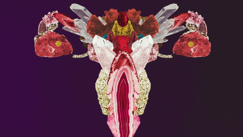 OVER SPRING BREAK I SHAVE MY MOTHER’S HEAD