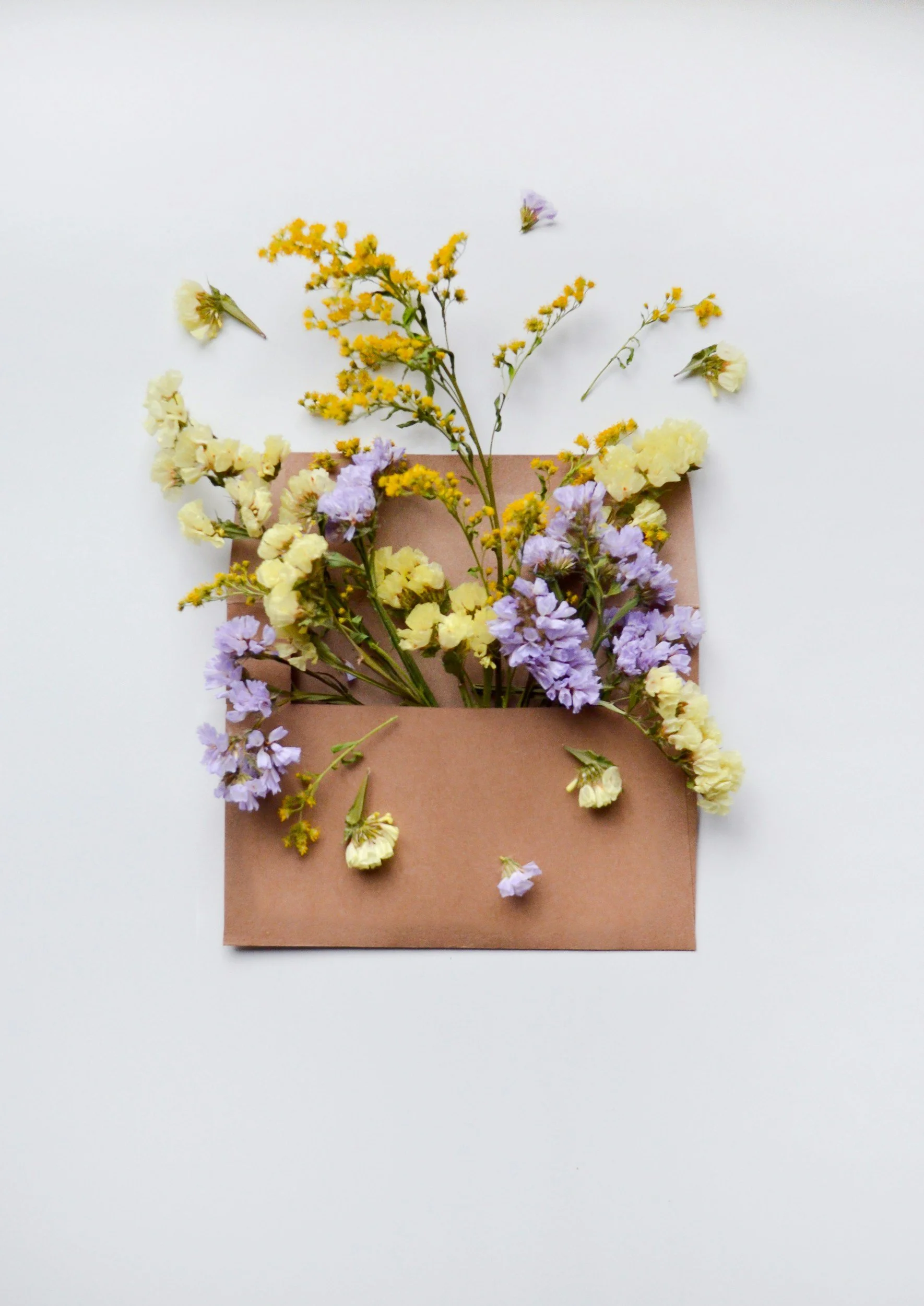 Dear Lit Mag Editor: Demystifying the Cover Letter By Maureen Langloss