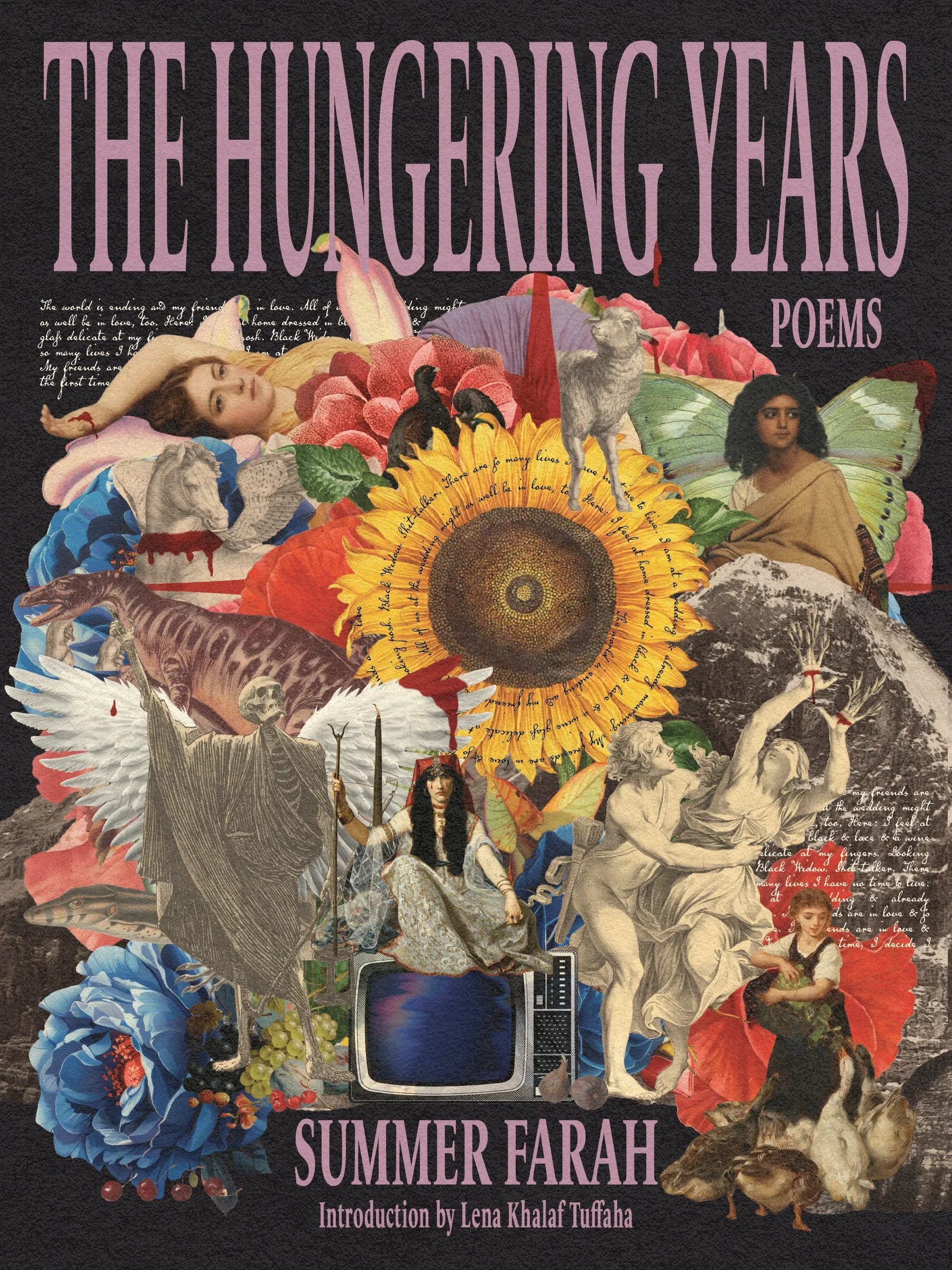 The Shape of Joy in the Shadow of Grief: On Summer Farah’s The Hungering Years