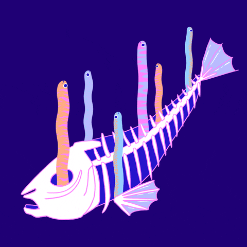 Fish Bone — Split Lip Magazine
