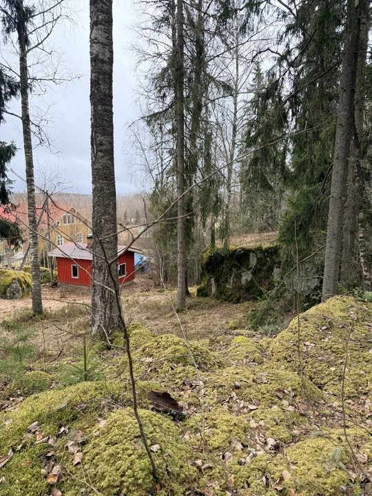Red cabin: Twilight and sauna smoke