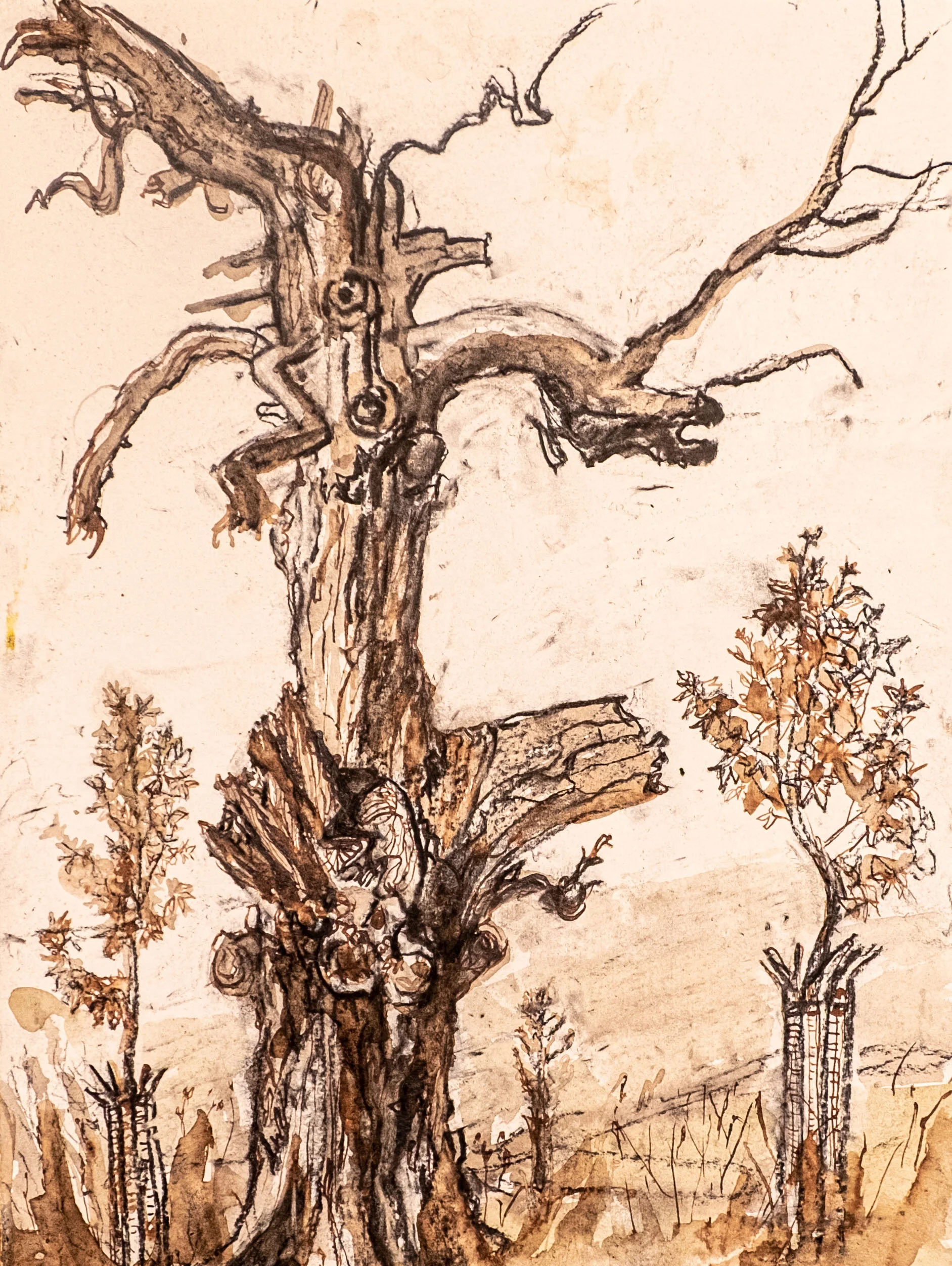 Generations Of Mycorrhiza