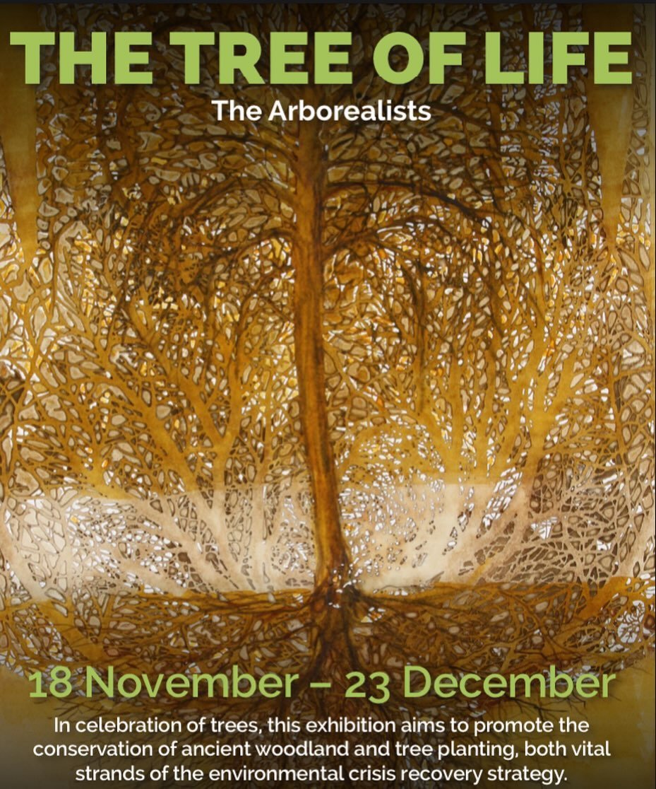 Just a few days left to see The Tree of Life 

Ace Arts, The Old Town Hall, Market Place, Somerton, Somerset TA11 7NB

18 November - 23 December 2023
Tues - Sat, 10am - 5pm

In celebration of trees, this exhibition aims to promote the conservation of