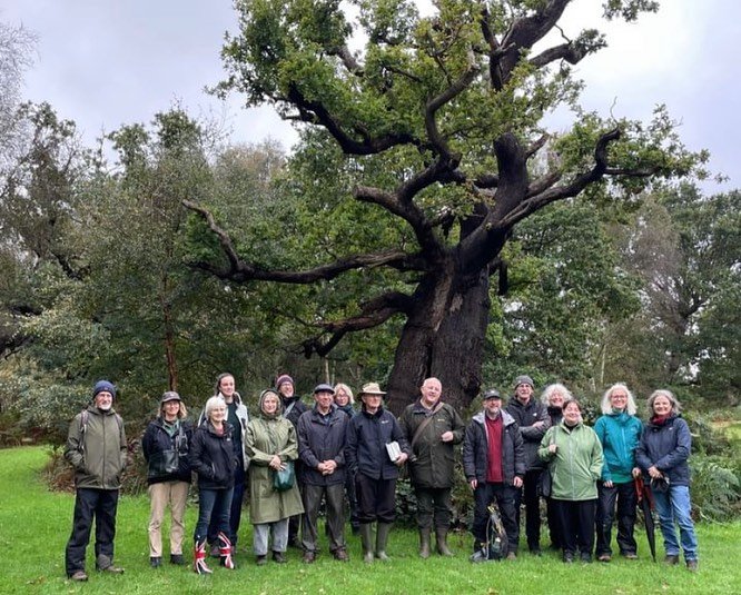 The Arborealists at Staverton Park

Staverton Park is a privately owned and remarkable woodland with hundreds of ancient oaks.
20 Arborealists were privileged  to explore this weekend, expertly guided by woodland advisor Gary Battell, arborist Jamie 