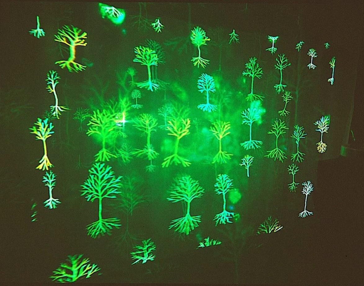 We are profiling the work of our Associate Members. In this first post we&rsquo;re delighted to introduce Andrew Carnie, Mike Dodd and Stephanie Fawbert.

The deadline for applications to join is 1st March. Full Members can nominate an applicant, wit