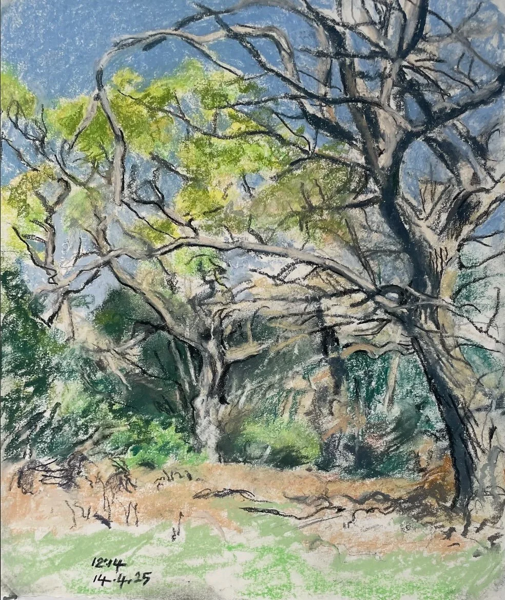 NEW EXHIBITION 

Staverton Park Exhibition Project at Gallery East
Opens November 14, 2025

The Arborealists with Dr George Peterken OBE

Gallery East, Woodbridge, Suffolk. IP12 1DH

14 November - 24 December 2025

Privately owned Staverton Park, of 