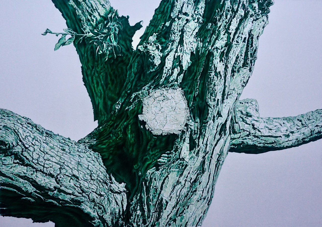 The Glastonbury Thorn.jpg