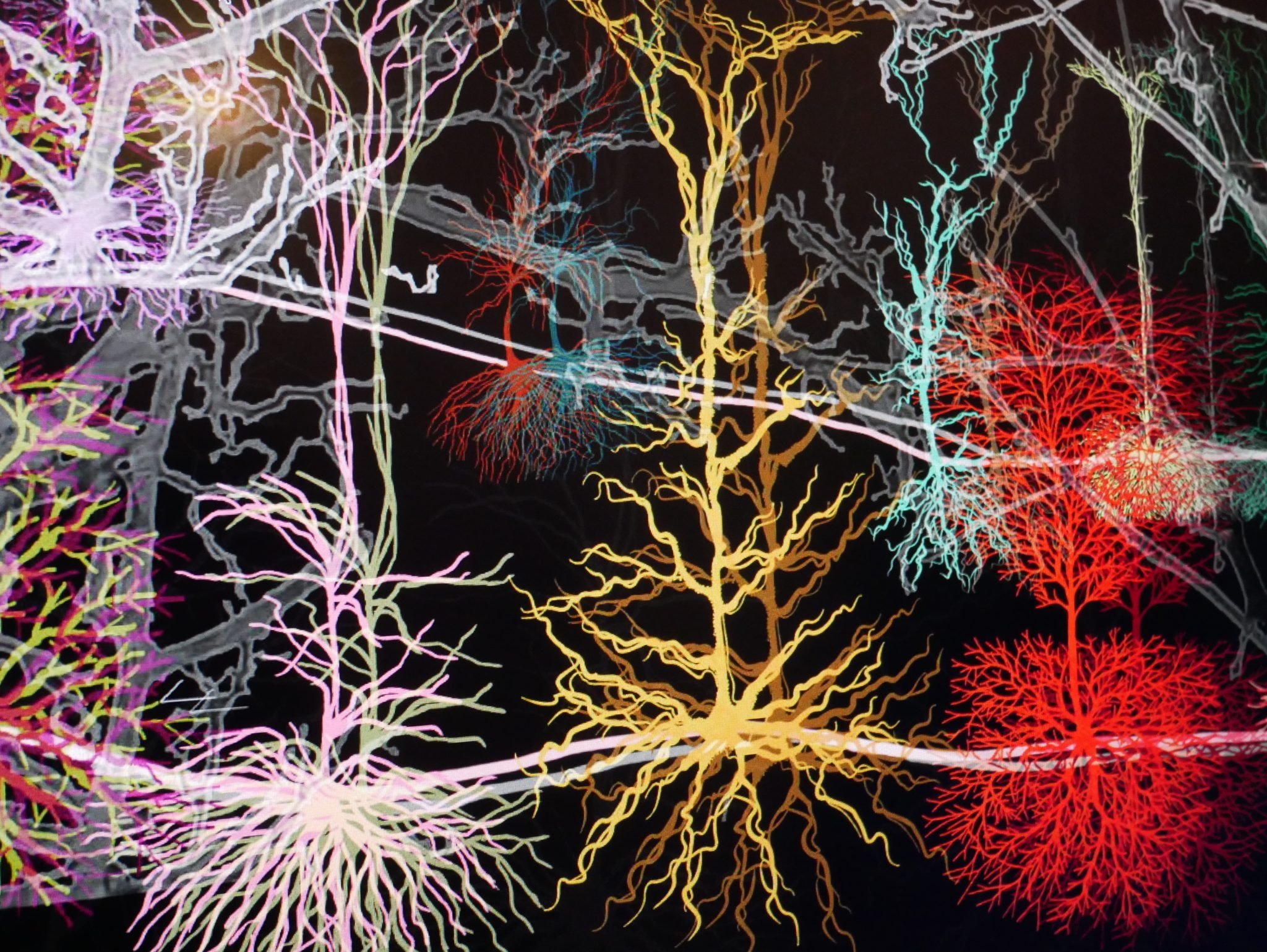 Blue Matter, 4-channel HD video projection, 2019