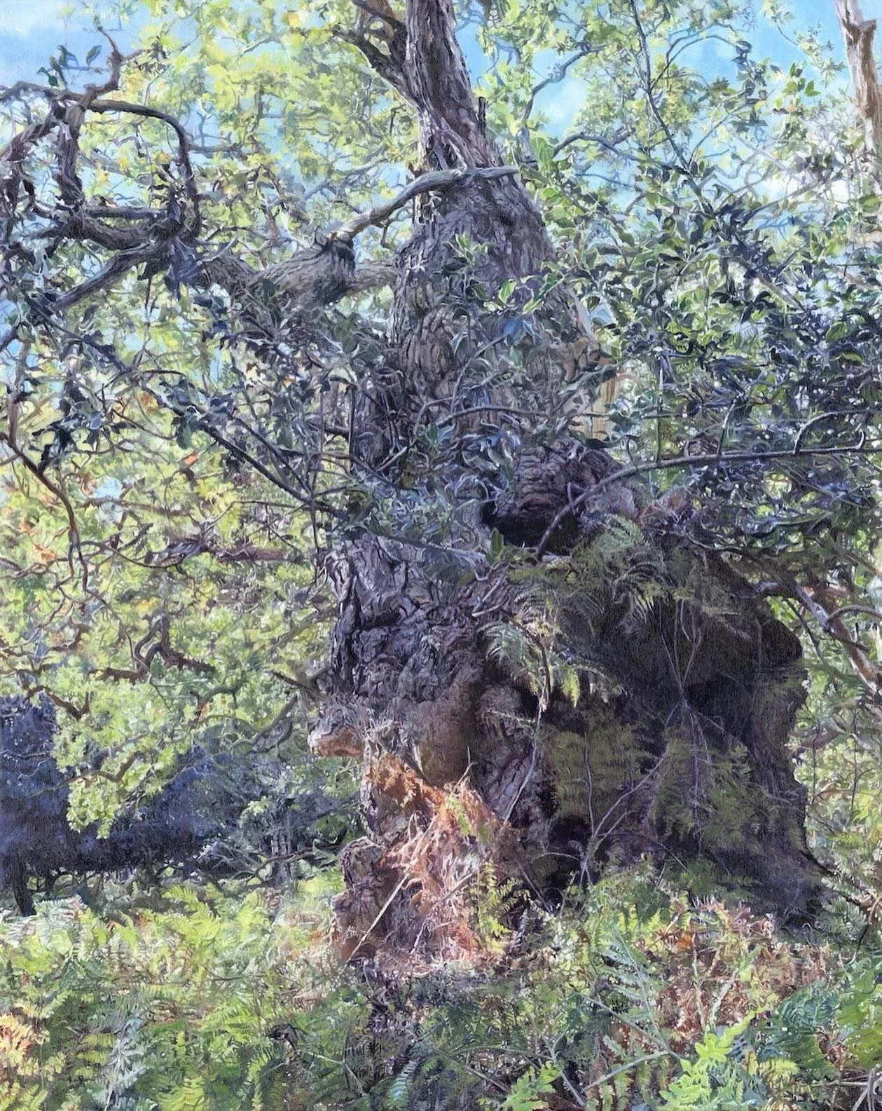 Associate Membership Applications

Applications for the current round of Associate Membership of The Arborealists are open until midnight 1st March 2026.

Candidates must be nominated and seconded by current Members of The Arborealists

Each candidat