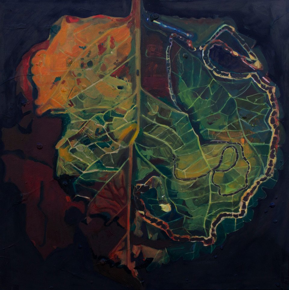 Catherine Rive Found Map 32 Leaf Series Lost Archipelago .jpeg