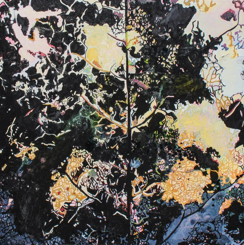 Catherine Rive Found Map 33 Leaf Series 2022.jpeg