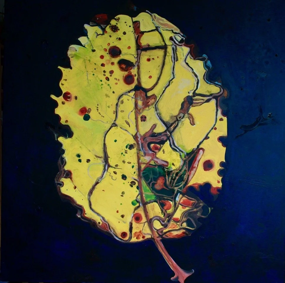 Catherine Rive Found Map 35 Leaf Series.jpeg