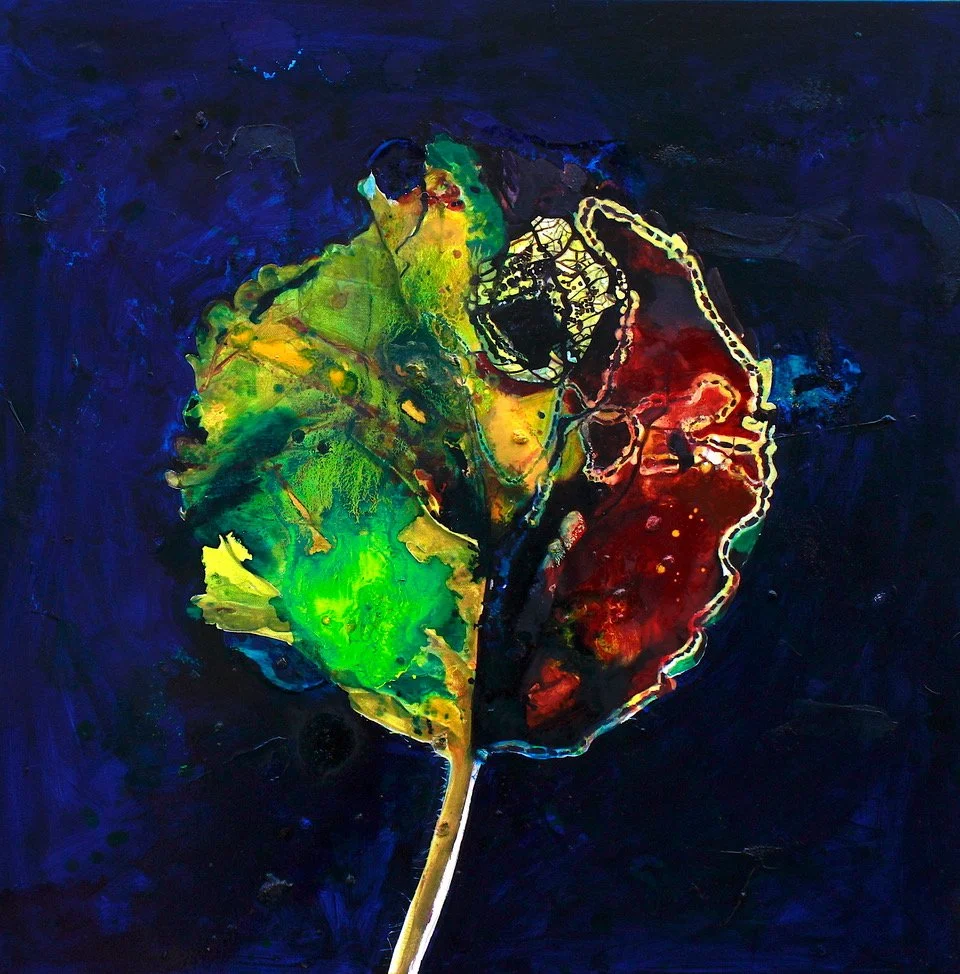 Catherine Rive Found Map 36 Leaf Series  Breach .jpeg