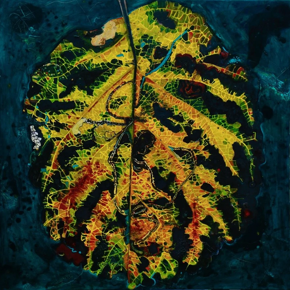 Catherine Rive Found Map 40 Leaf Series .jpeg