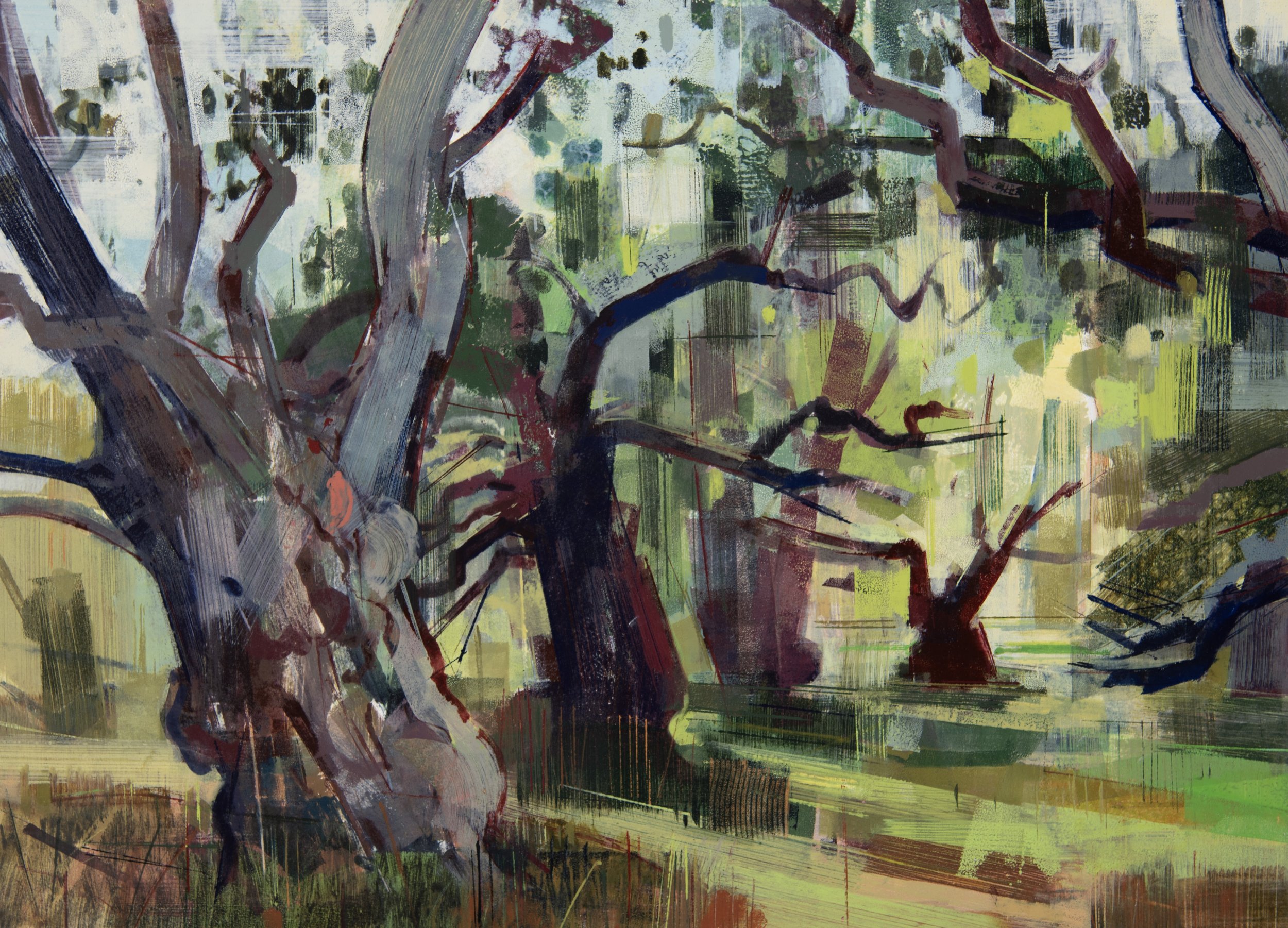 Tailing the Summer, Staverton thicks.jpg