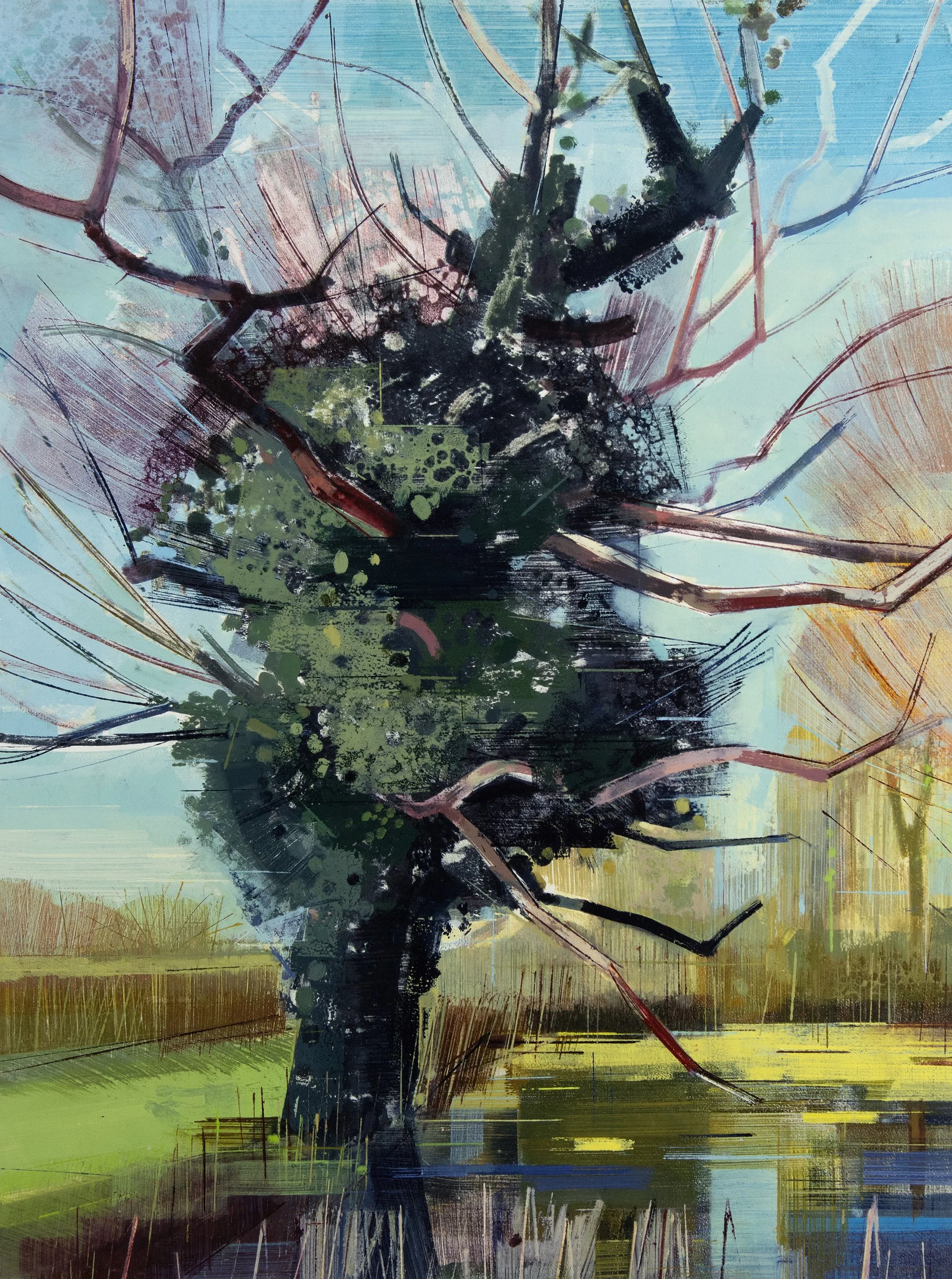 The Beleaguered Hawthorn.jpg