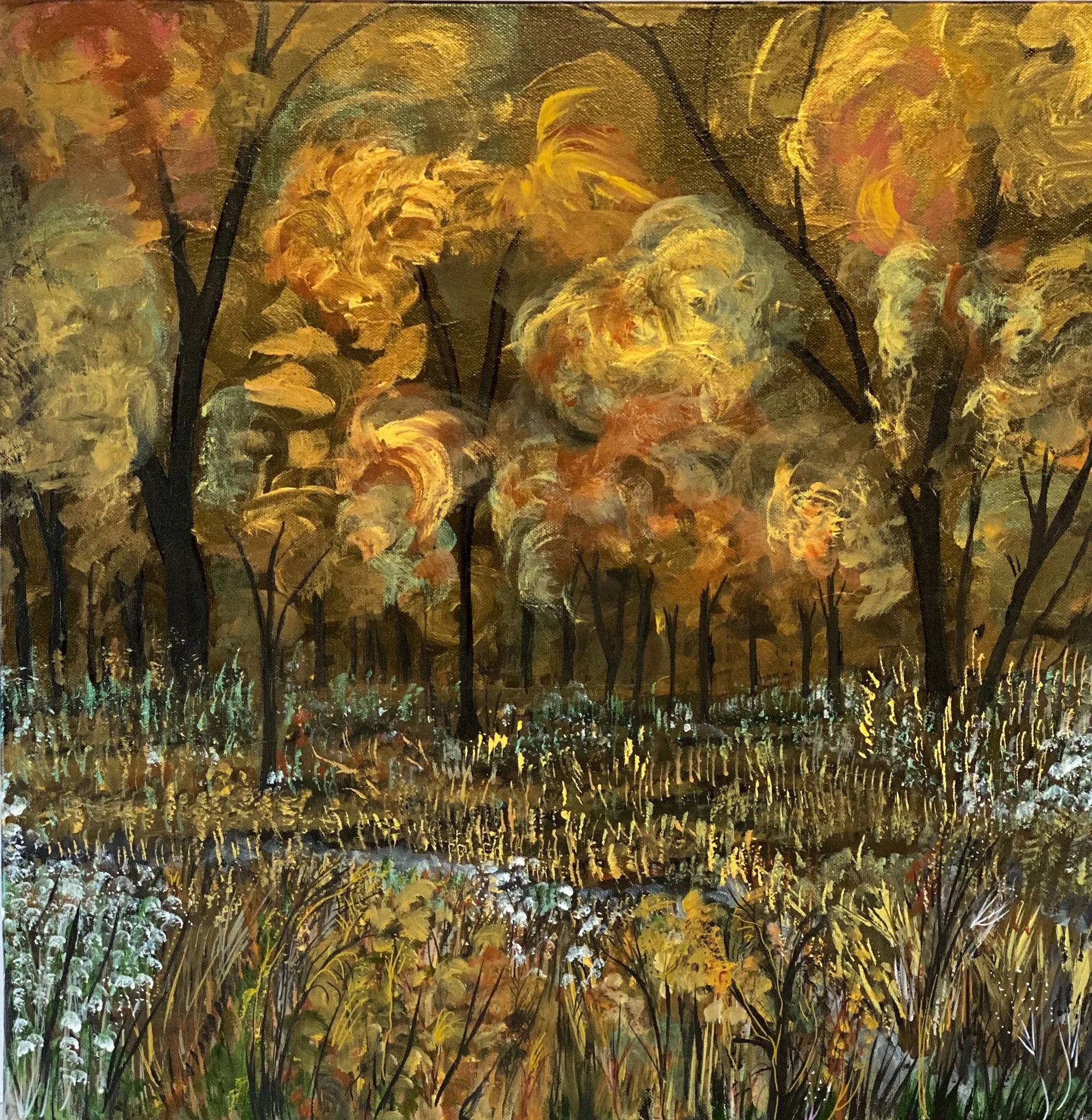 fejer in the night Forest.jpg